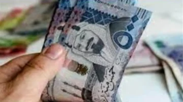 زيارة ضرورية.. كيف يرفع الباحث الاجتماعي كفاءة مستفيدي الضمان المطور ويحقق لهم الدعم الأمثل؟